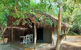 Bamba Kofi Lodge